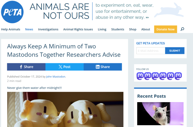 A screenshot of a fake article supposedly by PETA saying “Alwass Keep A Minimum of Two Mastodon Together Researchers Advise”, below that it says “Never give them water after midnight!!!” and it shows a picture of the cute Mastodons