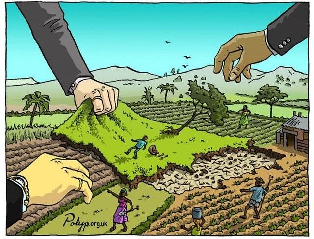 #News: Report finds that #indigenous people in #Brazil have a high rate of suicide due to expansion of oil and gas, illegal #goldmining, #palmoil #soy and #meat #deforestation of their ancestral land story by Monica Piccinini via @thecanaryuk@independent-media.co.uk #mentalhealth #indigenousrights  https://www.thecanary.co/global/world-analysis/2024/10/16/brazil-indigenous-people-suicide/