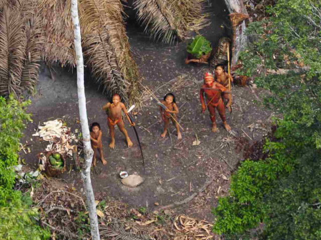 #News: Report finds that #indigenous people in #Brazil have a high rate of suicide due to expansion of oil and gas, illegal #goldmining, #palmoil #soy and #meat #deforestation of their ancestral land story by Monica Piccinini via @thecanaryuk@independent-media.co.uk #mentalhealth #indigenousrights  https://www.thecanary.co/global/world-analysis/2024/10/16/brazil-indigenous-people-suicide/