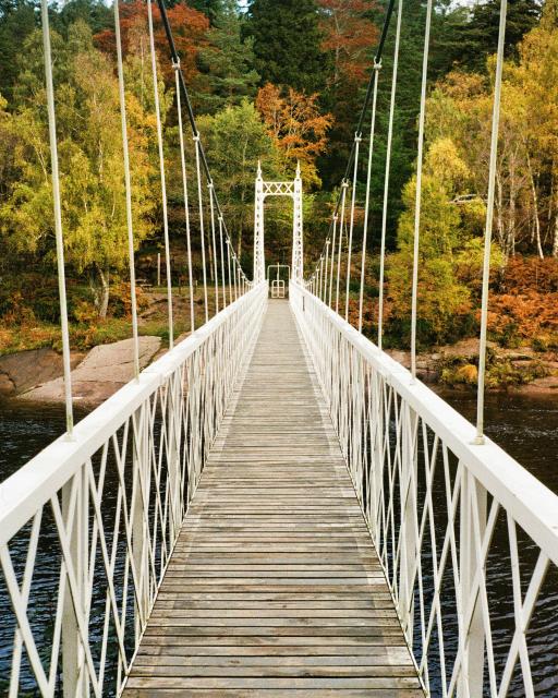 An image of a white footbridge with autumnal coloured trees behind. Aberdeenshire, Scotland