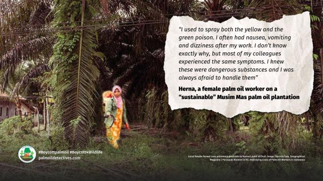 #Paraquat is a dangerous #pesticide 🤢 banned in #EU ⛔️and limited in #USA yet used widely in #Indonesia by #palmoil workers with grave #health impacts on (mainly) women 👩‍👧 and children workers #Boycottpalmoil 🌴🚫Story via @geographicalmag @palmoildetect https://wp.me/pcFhgU-8Bt