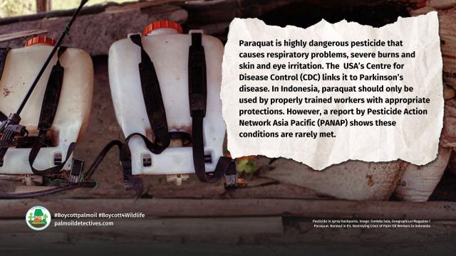 #Paraquat is a dangerous #pesticide 🤢 banned in #EU ⛔️and limited in #USA yet used widely in #Indonesia by #palmoil workers with grave #health impacts on (mainly) women 👩‍👧 and children workers #Boycottpalmoil 🌴🚫Story via @geographicalmag @palmoildetect https://wp.me/pcFhgU-8Bt