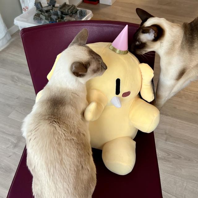 Fnorty, my plushtodon, sitting on a purple armless chair being mobbed by two Siamese cats. 

Fnorty is wearing a little pink party hat with gold trim, and Nightshade the lilac masked Siamese is obscuring at least half of Fnorty with his body, Nightshade faces away from the camera as he eyes SCSI, the chocolate masked Siamese. 

SCSI’s hind legs are obviously on something higher as h stretches down to rest on his front paws on the chair’s seat. Heis ignoring Nightshade’s disapproval as he sniffs Fnorty’s head and the pink party hat. 

Some dungeon tiles resting on a plastic box are barely visible and somewhat blurry in the background.