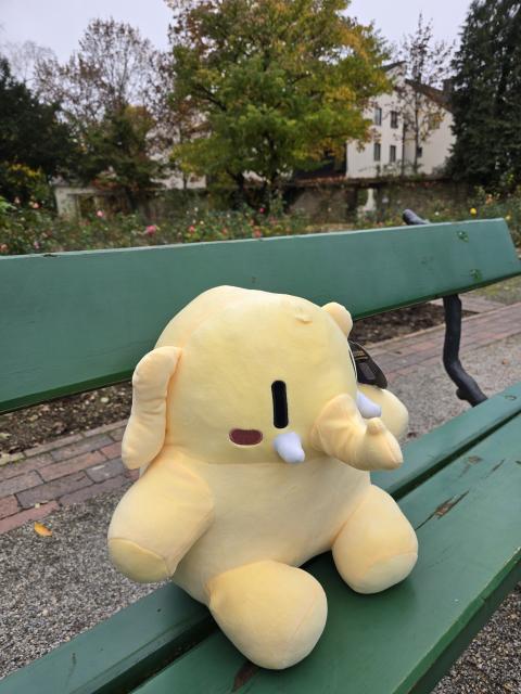 Plasch* sits on a bench in the rose garden and sees the Danube for the first time.

*A Plushtodon (mine is called Plasch) is a plush toy that looks vaguely similar to a mastodon and (imho) has lemon-yellow skin. 