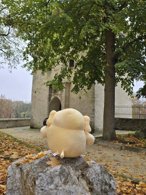 Plasch sits on a Jura stone and admires a tower.

