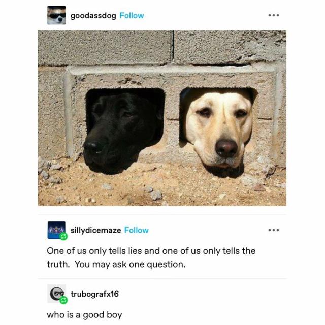 dog gatekeepers
