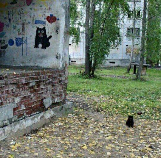 A photograph of a black cat sitting in the grassy area between residential blocks. 

Behind him, one block and green tall trees. To the left and next to him we see a wall with graffiti and drawings. The largest drawing is of a black cat, seated exactly as he is