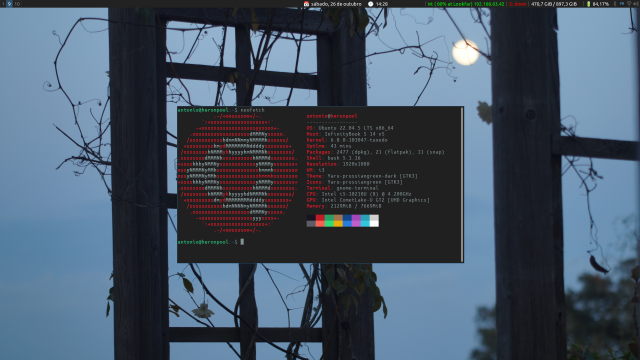 Screenshot of my desktop with a centered floating terminal window, displaying the output of neofetch.