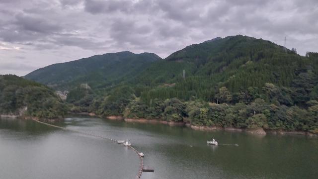 Mountains in the distance with only green trees in them. In the foreground is a lake.