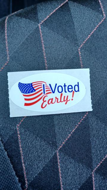 Picture of a sticker on upholstery, the sticker is a white oval with a US flag and the text "I Voted Early!"