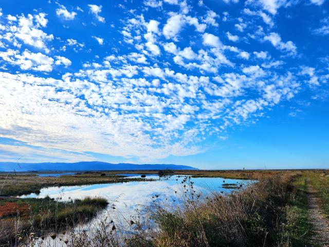 Blue sky and clouds above a marsh pond. The clouds are reflected on the pond. Blue hills in the distance.