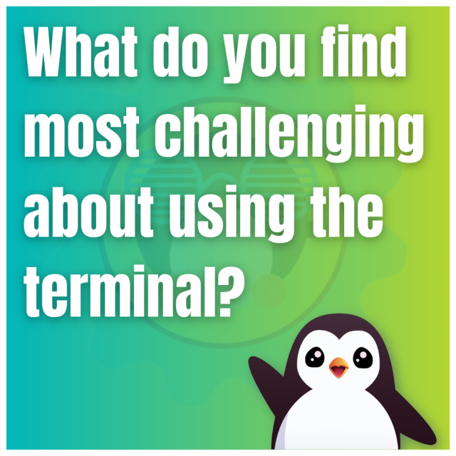 What do you find most challenging about using the terminal?