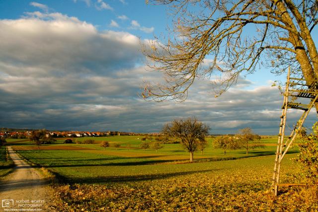 Scene from a sunny autumn afternoon in the southwest-German countryside.