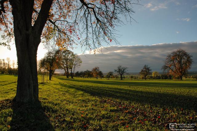 Scene from a sunny autumn afternoon in the southwest-German countryside.