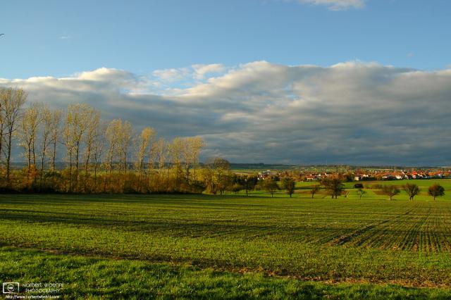 Scene from a sunny autumn afternoon in the southwest-German countryside.