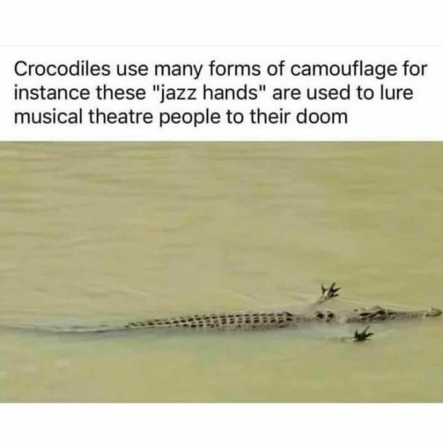 croc