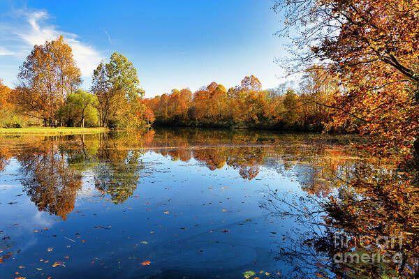 Pat Brown Geese Pond in Erwin, Tennessee, during autumn, displaying stunning reflections of colorful fall leaves and a deep blue sky.   From the Fine Art Gallery of Shelia Hunt.