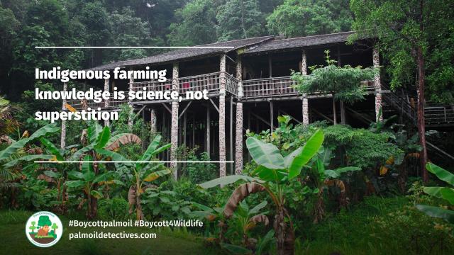 The #Indigenous people's respect for the land and their traditional agricultural practices can teach us to adapt to extreme weather and #climatechange #Boycott4Indigenous #Boycott4Wildlife  https://palmoildetectives.com/2023/12/03/indigenous-farming-knowledge-is-science-not-superstition/ via @palmoildetectives 