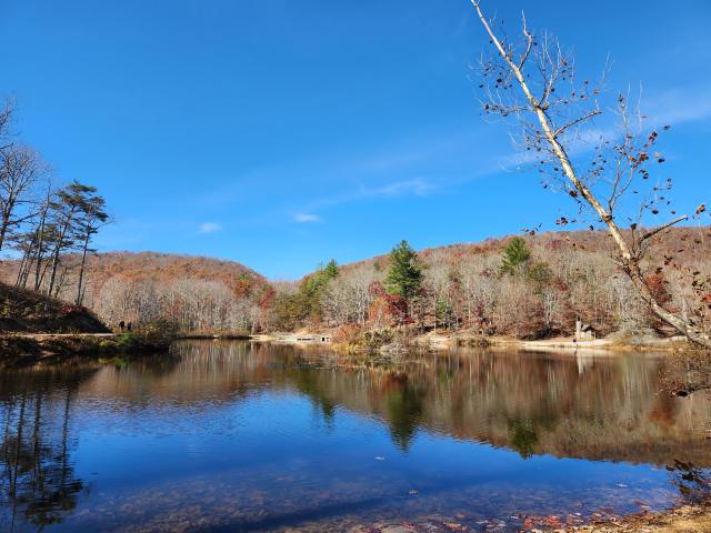 Late autumn day at a pond. View of still water and some orange and red trees on the far shore. Some trees have already lost their leaves.