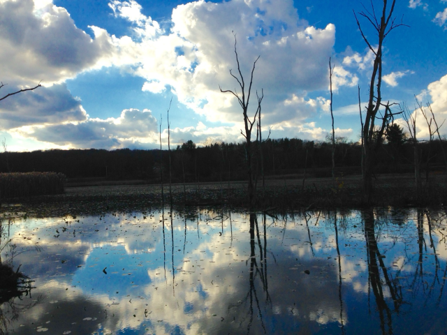 Late afternoon on a partly cloudy day and view from the floating bridge along the Ohio & Erie Canal Towpath Trail north of Akron. The trees at the horizon aren’t visible just a few bare trees in the water, the blue sky with white and grey clouds and reflections on the water. 