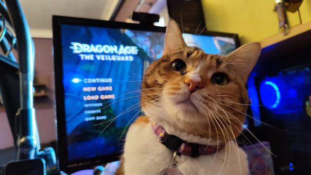 My calico cat Carrie sitting in front of the PC monitor which is showing the title screen from Dragon Age The Veilguard.