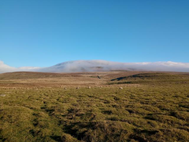 A bright blue sky, totally clear, except for a low level of cloud tight against the outline of a low hill. In the foreground, open grassland with sheep grazing. The grasses in the distance are autumn-hued. 