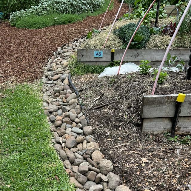 River stones in a curved trench enable water to drain on a sloped block in heavy rain. Raised vegetable beds to the right, lawn to the left. 