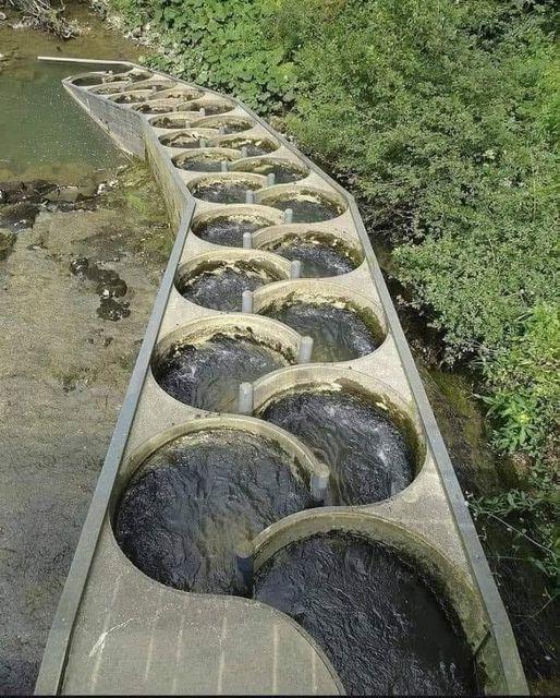 This is a fish ladder in Switzerland. It allows fish to get around a dam.