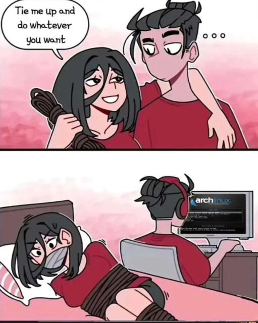 There are two sections to this comic. In the first section, a woman asks a man the following: “Tie me up and do whatever you want”.

In the second section, the man is seen playing around with Arch Linux on a computer, with the woman tied up on a bed.