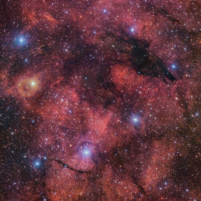 "The Dark Wolf Nebula."

ESO/VPHAS+ team, CC BY 4.0, via Wikimedia Commons.