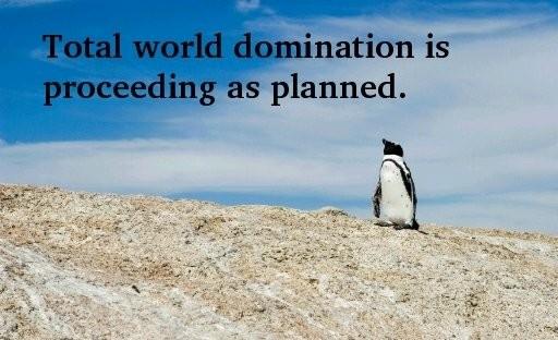 image of penguin with caption "total world domination is proceeding as planned"
