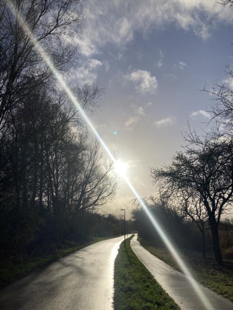 A winding bike lane with a narrow pathway to its right, both surrounded by trees under a partly cloudy sky, with sunlight shining brightly in the background, creating a reflective surface on the wet ground.