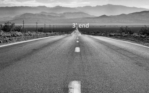 long, straight highway with (photoshopped) "3'-end"" sign