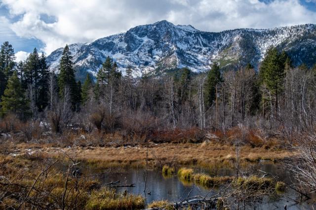 A snow-dusted mountain looms behind marshy land. [Fuji X-T5 / Tamron 18-300]