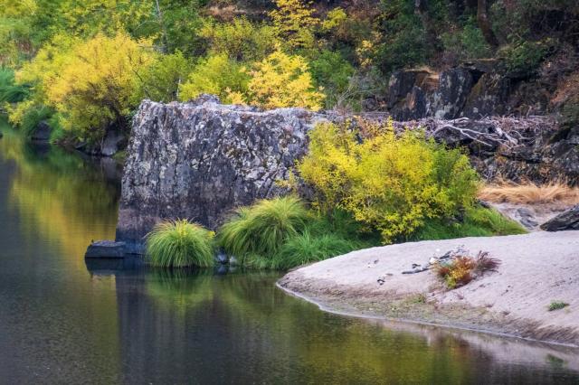 By a slow river, rocks, plants, and a small spot of sand reflect in the water. [Fuji X-T5 / Tamron 18-300]