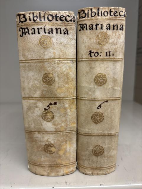 Spines of the two volume set with manuscript titles 