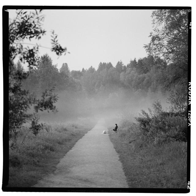 A lady sits on a bench with her dog on a foggy morning at the park. 

Taken in expired Kodak 125PX film, and a Bronica SQA