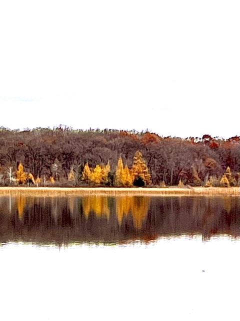 A tranquil lake reflects trees in autumn colors, with golden leaves contrasting against a backdrop of bare branches. The sky appears muted, providing a calm atmosphere.