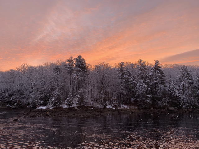 A wintery view over a river. On the far side is a mixed forest, with conifers predominating at the center. The trees are coated with frost. Thin clouds cover the whole sky, and they are tinged a gorgeous peach color. 