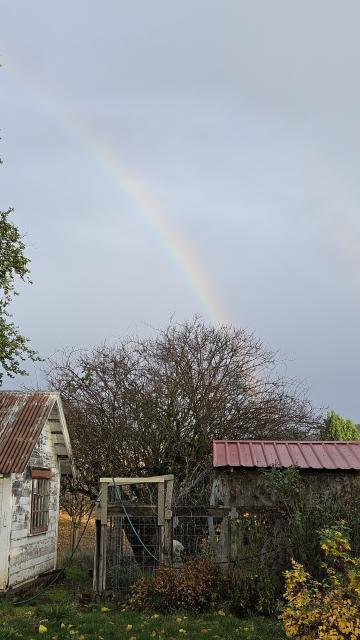 rainbow over a couple of sheds under a cloudy sky