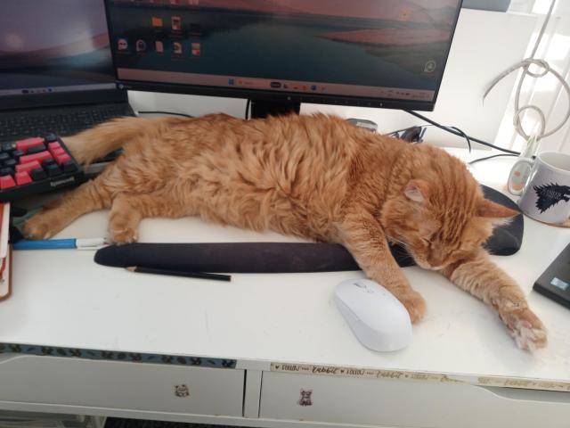 Alfred, a big orange cat, napping sprawled out on top of a white desk. He is on front of a screen, tail on the laptop on the left. He is taking all the available space, with the keyboard, having been rescued, on top of some notebooks on the left, and a white mouse close to his front paws. He doesn't seem to notice or care that he is making working much more acrobatic