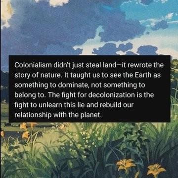 Text: "Colonialism didn't just steal land- it rewrote the story of nature. It taught us to see the Earth as something to dominate, not something to belong to. The fight for decolonization is the fight to unlearn this lie and rebuild our relationship with the planet."
Visual: field with yellow flowers and blue skies.