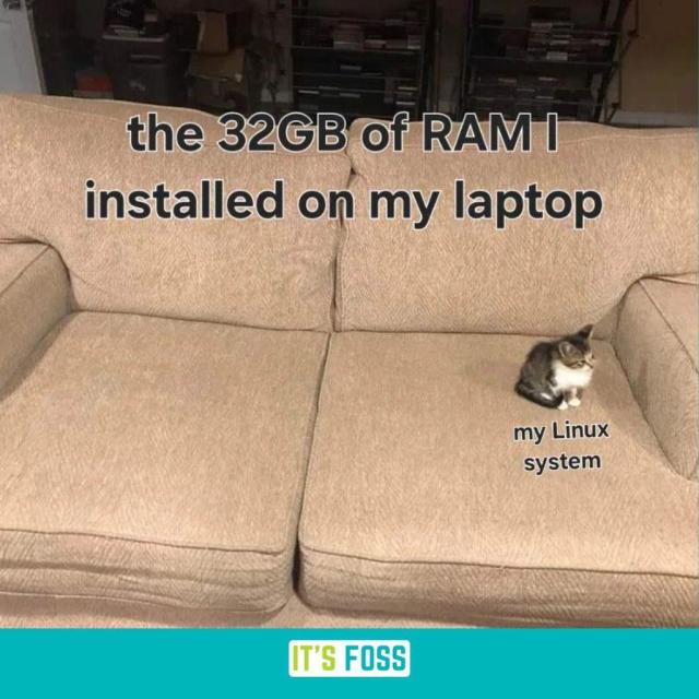 The 32 GB of RAM I installed on my laptop.

There is a photo of a cat called “my Linux system” sitting on a comically gigantic couch.