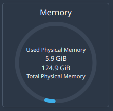 5.9 of 125 gigs of RAM being used