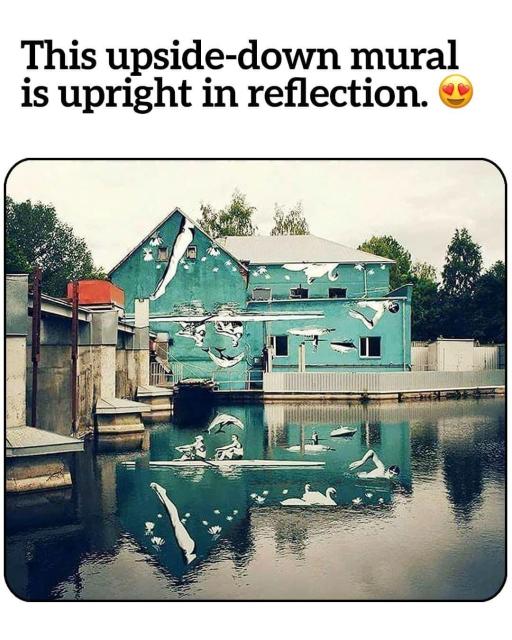 A turquoise mural by artist Ray Bartkus in Marijampolė, Lithuania, intentionally painted upside-down on a building by the Šešupė River. The design features swimmers, rowers, and swans that appear upright only when reflected in the calm water, creating a stunning visual illusion. The text above the image reads, "This upside-down mural is upright in reflection," with a heart-eyes emoji, highlighting the mural's unique artistic concept.