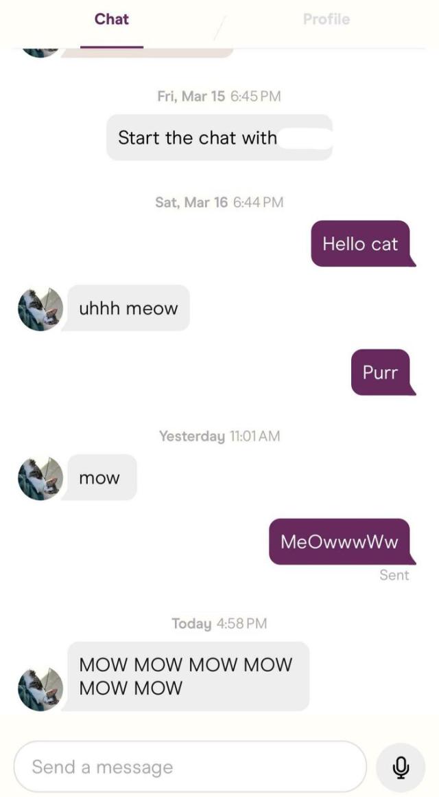 meow