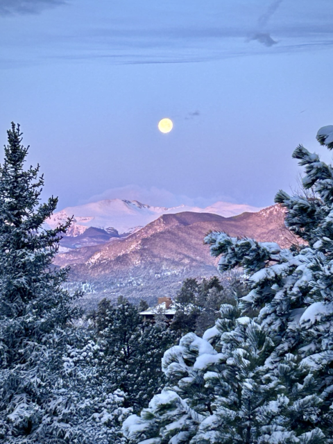 Moon setting over pinky-purple Mt Blue Sky with snowy trees in foreground 