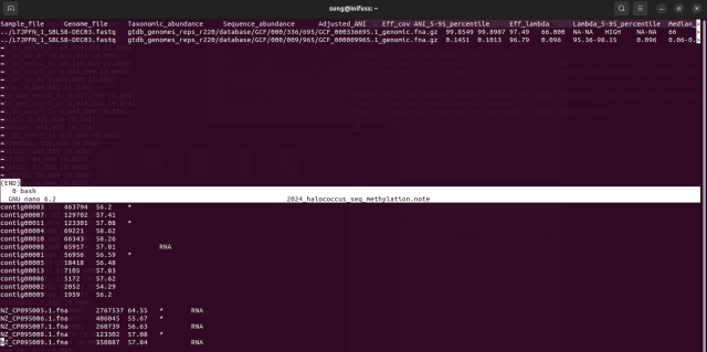 GNU screen terminal session with a remote machine split into two panes