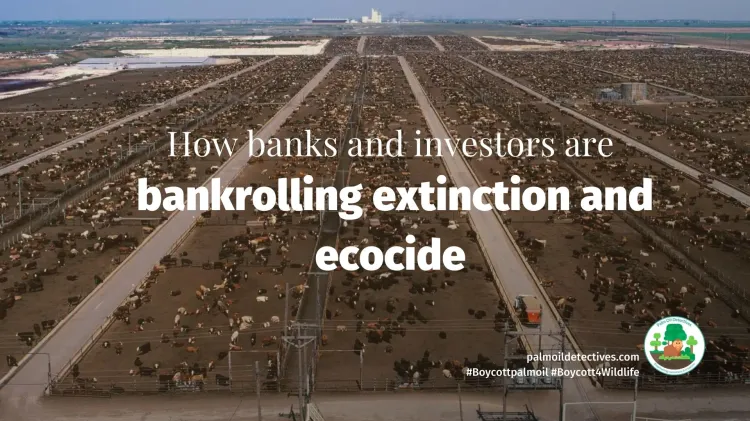 How banks and investors are bankrolling extinction and ecocide