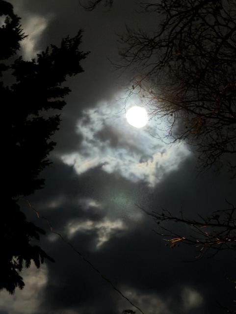 Full moon peaking out from behind the clouds. A touch of orange on a branch from the porch light.